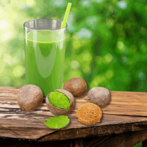 Ditakh (Detarium senegalense)