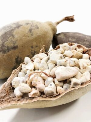 Bouye (Pain de singe)