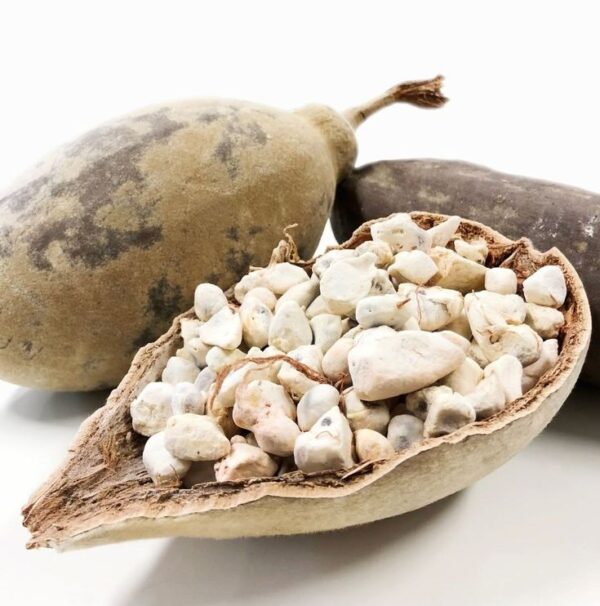 Bouye (Pain de singe)