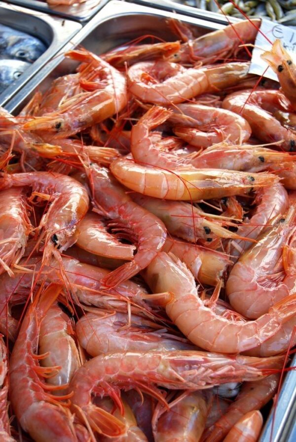 Crevettes