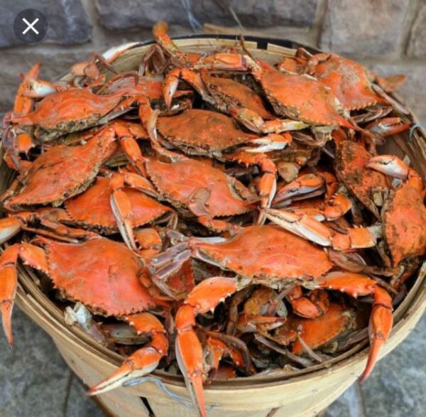Crabes